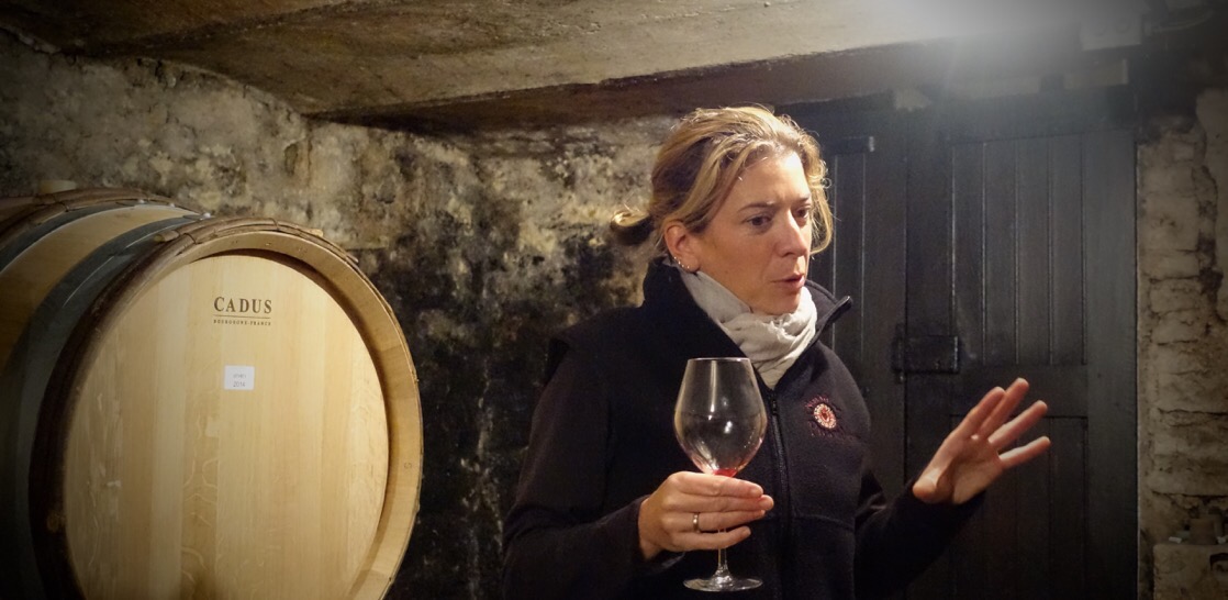 Gevrey Chambertin and the 2014 vintage