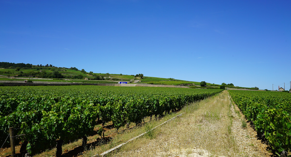 The beauty behind the walls of Chateau Commaraine